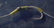 Nash Pinpoint Brute Hooks Micro Barbed size 2 T6144 фото 3
